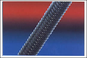 BN-PEBPolyethylene hose.jpg