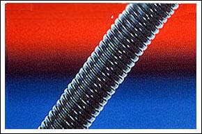 BN-PPBStandard nylon hose.